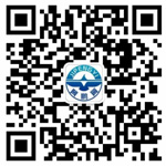 全讯600cc大白菜官网